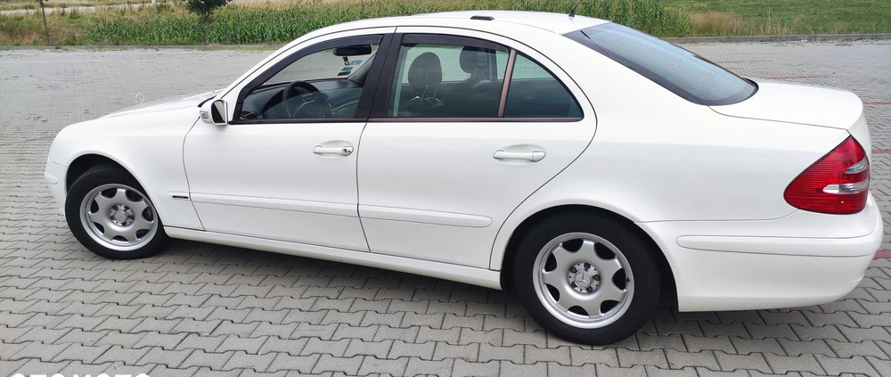 Mercedes-Benz Klasa E cena 11900 przebieg: 399000, rok produkcji 2003 z Zawidów małe 172